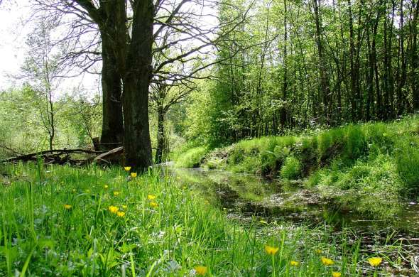 Beeld bij Landgoed ‘t Stroink en het Aamsveen