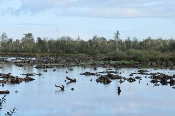 Beeld bij De Peelontginningen van Limburg