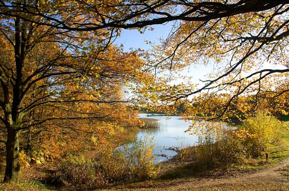 Beeld bij Het esdorpenlandschap bij Norg