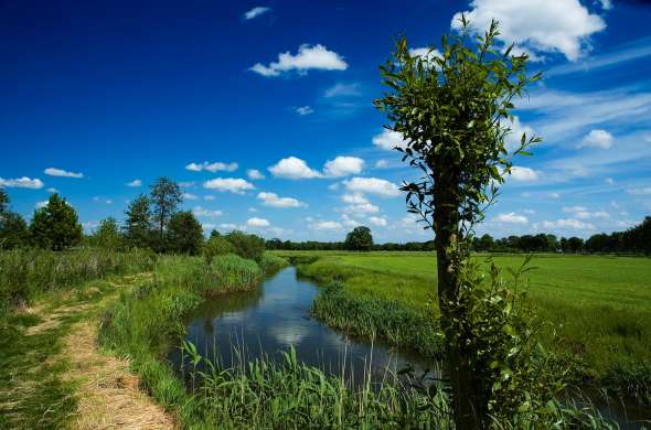 Beeld bij De Brabantse Aa