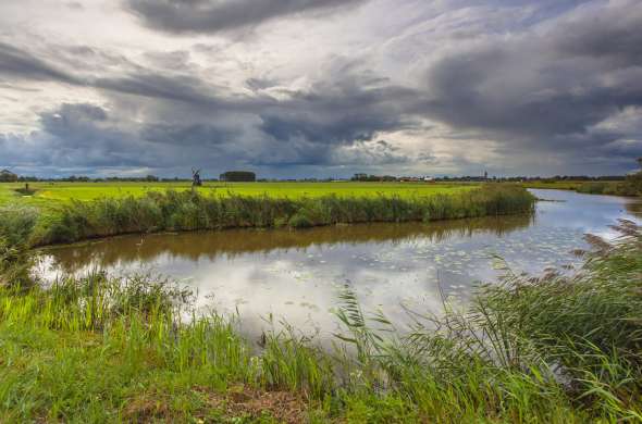 Beeld bij De Bouwepet & Ottema Wiersmareservaat