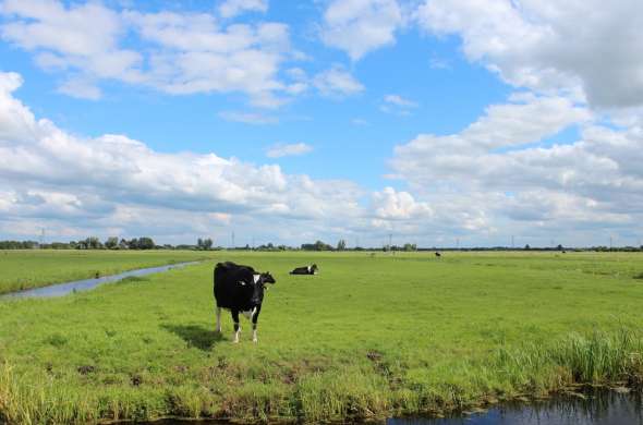 Beeld bij De Krimpenerwaard