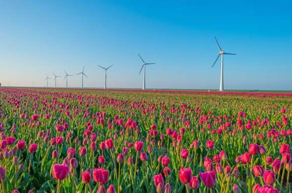 Beeld bij Flevoland - De Noordoostpolder