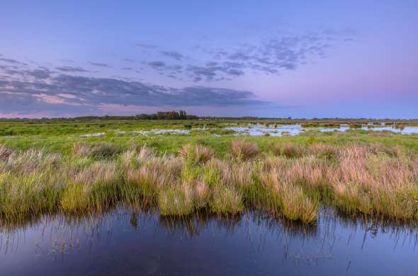 Beeld bij Zuidlaardermeergebied