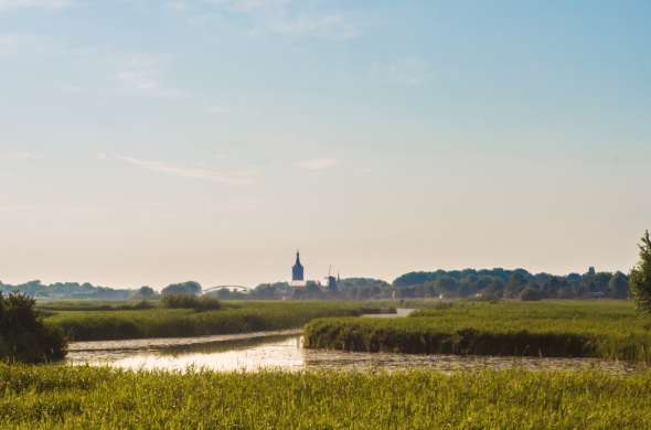 Beeld bij Uiterwaarden Zwarte Water en Vecht