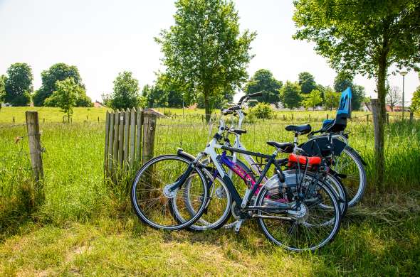 Beeld bij Voorjaar in Leudal