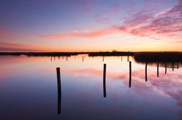 Beeld bij Rondje Noordlaarderbos en Zuidlaardermeer