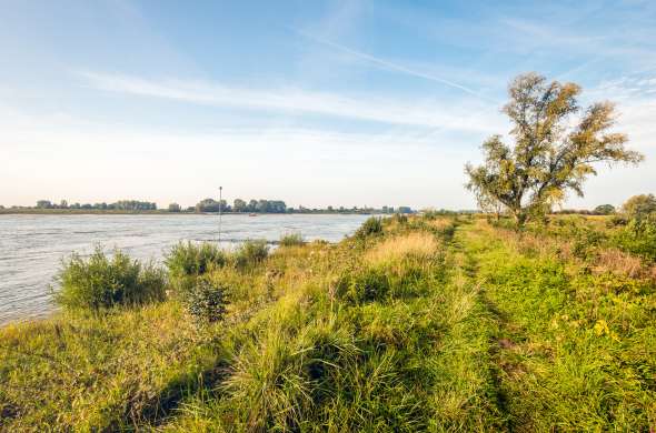 Beeld bij Dijkenroute langs Maas en Waal