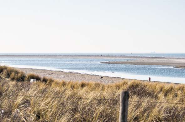 Beeld bij Noordwijk - Amsterdamse Waterleidingduinen - Haarlem