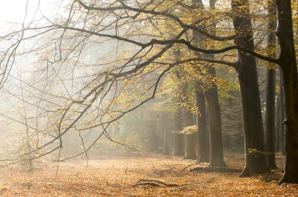 Beeld bij De Witte Wieven