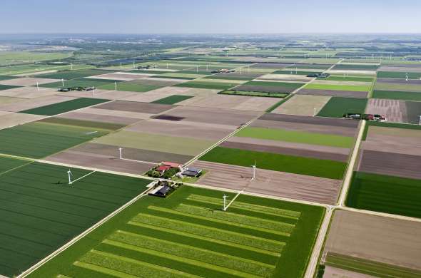 Beeld bij Door de oostelijke polders van Flevoland