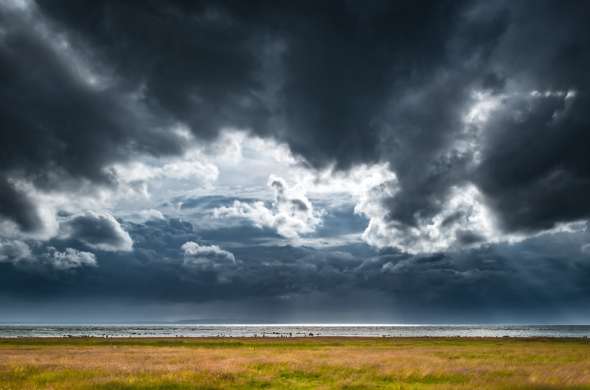 Beeld bij Het Riepster Licht