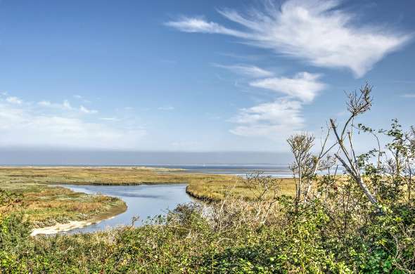 Beeld bij De natuur van Goeree-Overflakkee