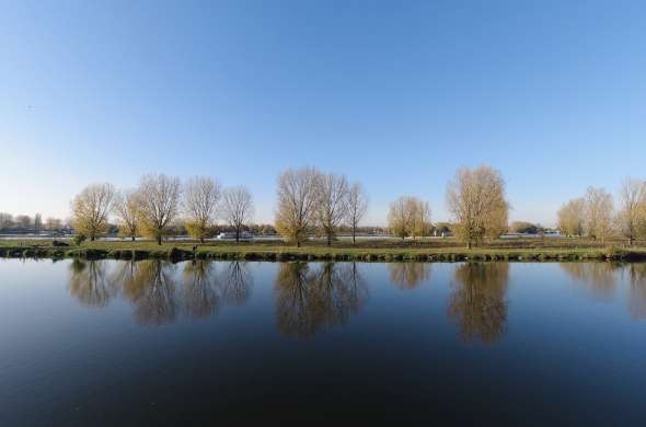 Beeld bij Langs de Roer