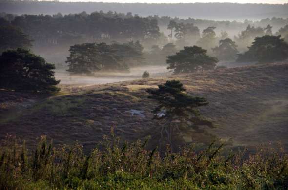 Beeld bij De heuvels van Zuid-Limburg