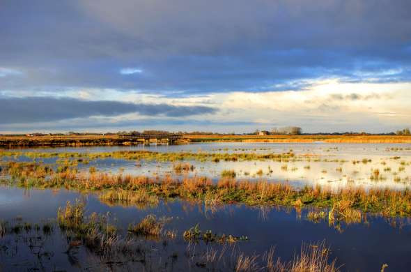 Beeld bij 't Roegwold