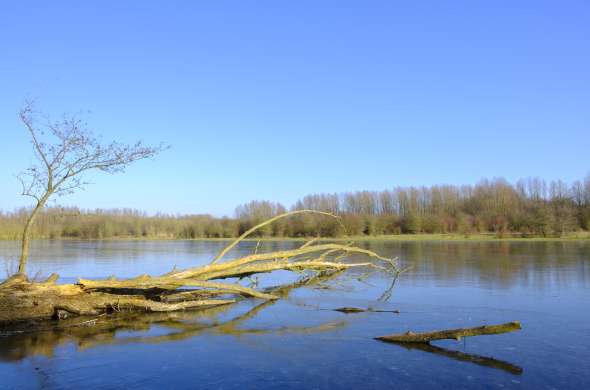 Beeld bij Het Horsterwold en Zeewolde