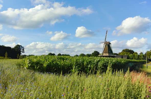 Beeld bij Molens onder Eindhoven