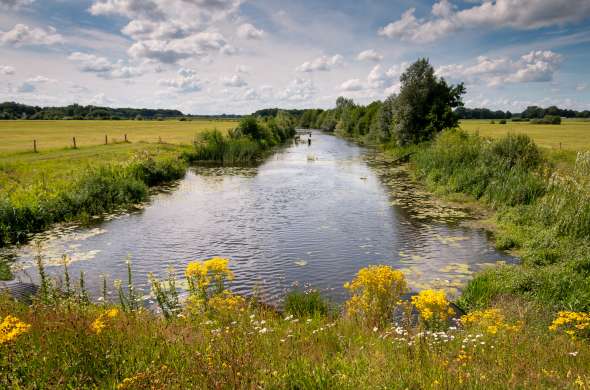 Beeld bij De Krim