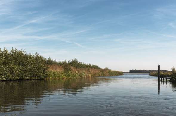 Beeld bij De Beulakerwijde