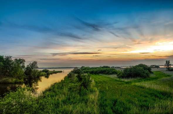 Beeld bij Het Fochteloërveen en het Witterveld