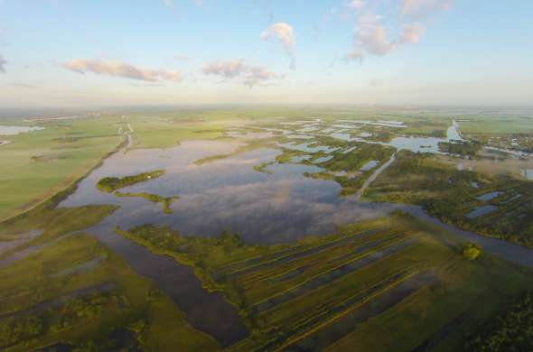 Beeld bij Nationaal Park de Alde Feanen