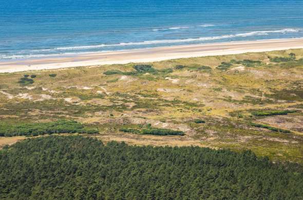 Beeld bij De Schoorlse Duinen