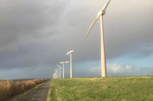 Beeld bij Voor- en tegenwind in Flevoland