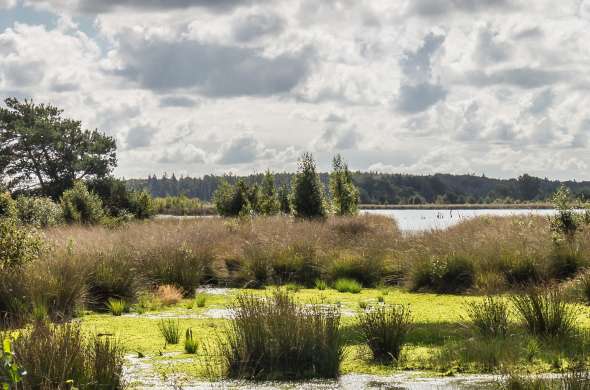 Beeld bij De prachtige natuur van Friesland