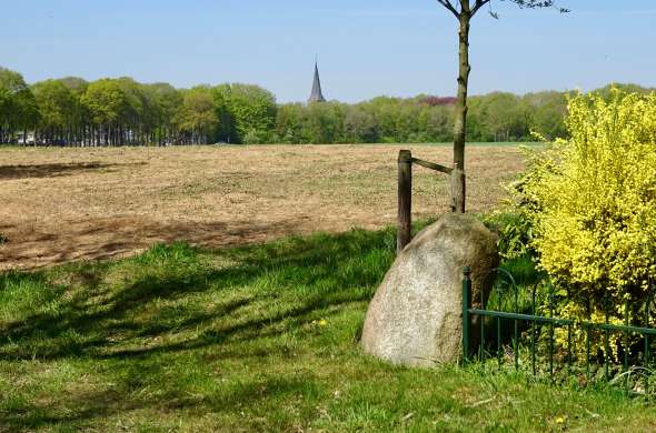 Beeld bij Bartje