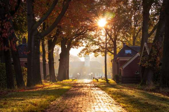 Beeld bij Denemarken