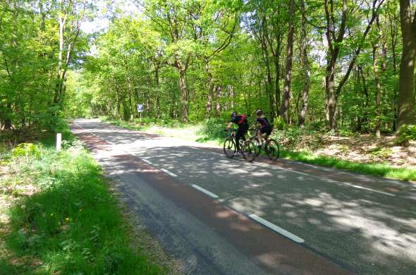 Beeld bij De Amerongse Berg