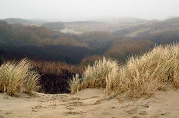 Beeld bij Het Vlaggeduin in Katwijk