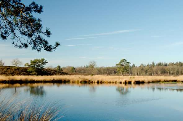 Beeld bij Op de grens van Noord-Brabant en Gelderland