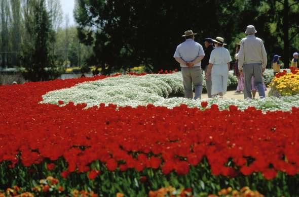 Beeld bij Langs de Floriade in Almere