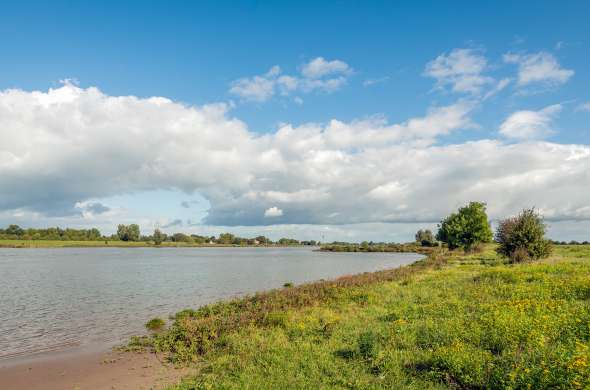 Beeld bij Geniet van de zomer langs de Lek