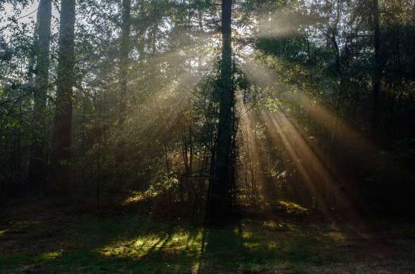 Beeld bij Door het bosrijke Drenthe