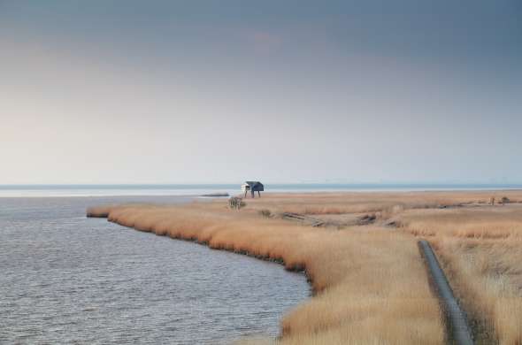 Beeld bij Zeewiefkes in de Dollard