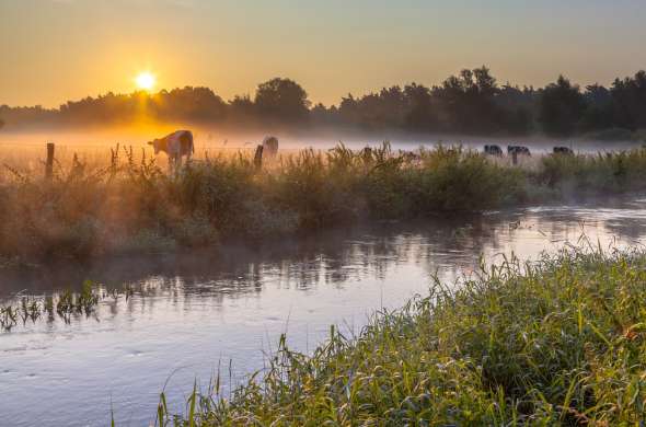 Beeld bij Huttenkloas: de beruchte crimineel van Bentelo