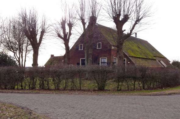 Beeld bij Saksische of hallenhuisboerderij