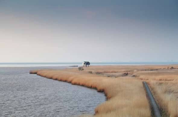 Beeld bij De omgeving van de Dollard