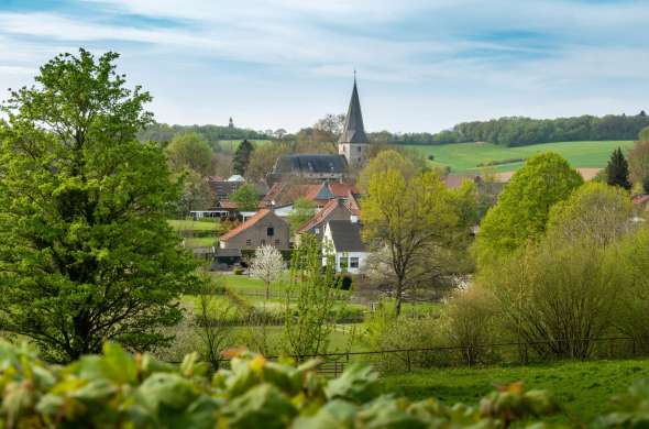 Beeld bij Het groene Limburg