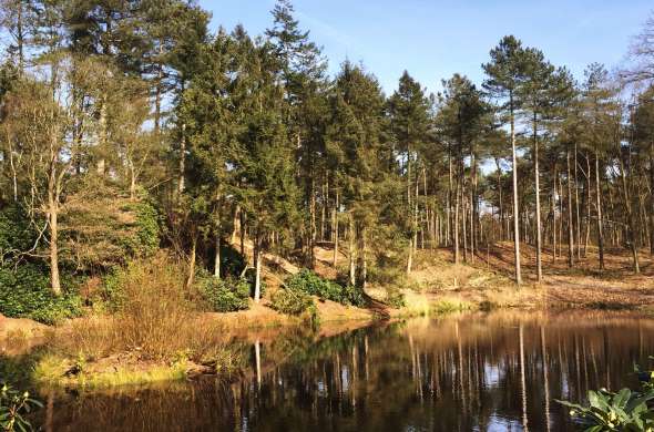 Beeld bij De Kalmthoutse en Woensdrechtse heide