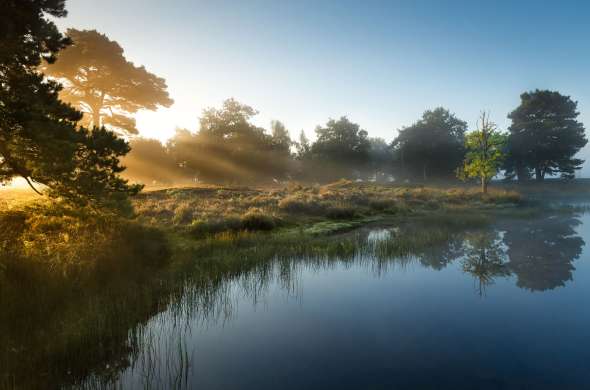 Beeld bij Het Doldersummerveld