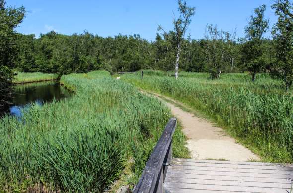 Beeld bij Forten en vestingen rond Naarden