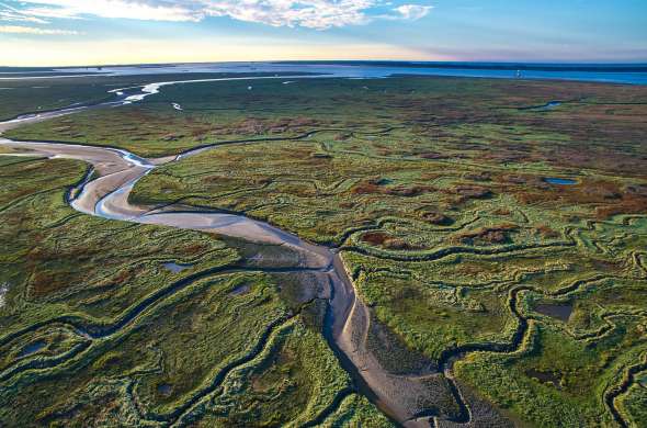 Beeld bij Het Verdronken Land van Saeftinghe