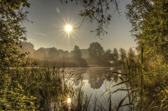 Beeld bij Natuurreservaat De Doort