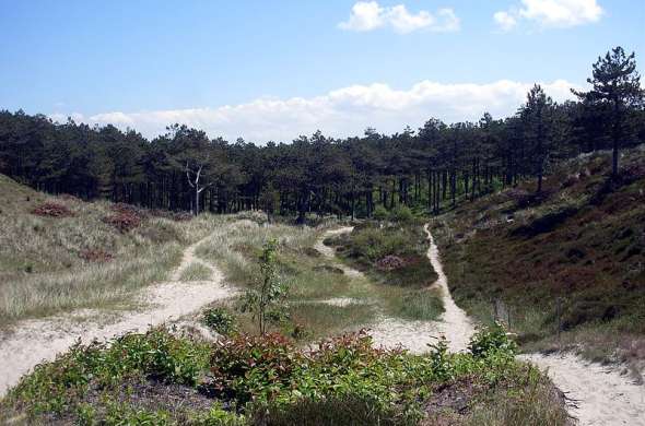 Beeld bij Schaapskooi Bergen