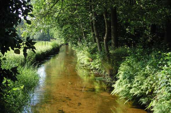 Beeld bij Staverdensche Beek