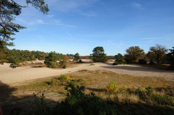 Beeld bij Rond en over de Soester Duinen